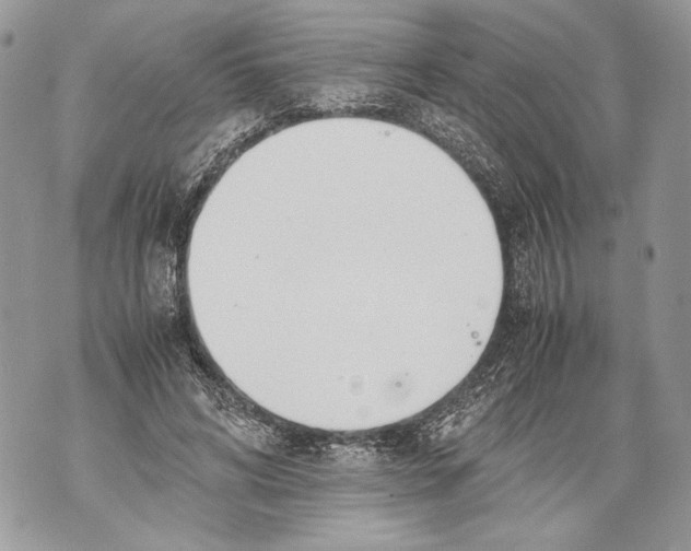 X0000071840592200607290109