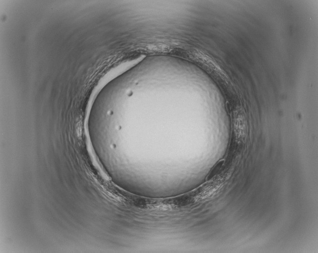 X0000071840593200607290109