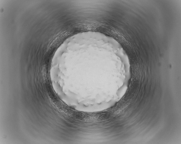 X0000071840594200607290109