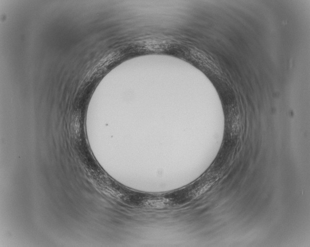 X0000071840595200607290109