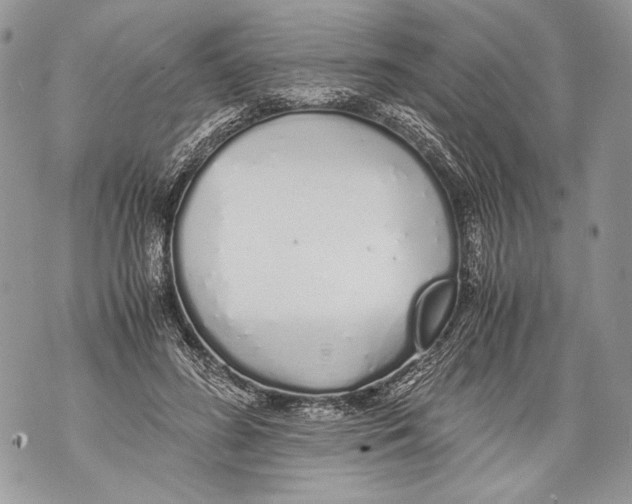 X0000071840596200607290109