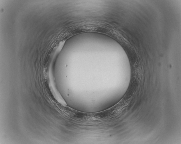 X0000071840597200607290109