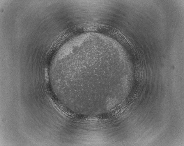 X0000071840598200607290109