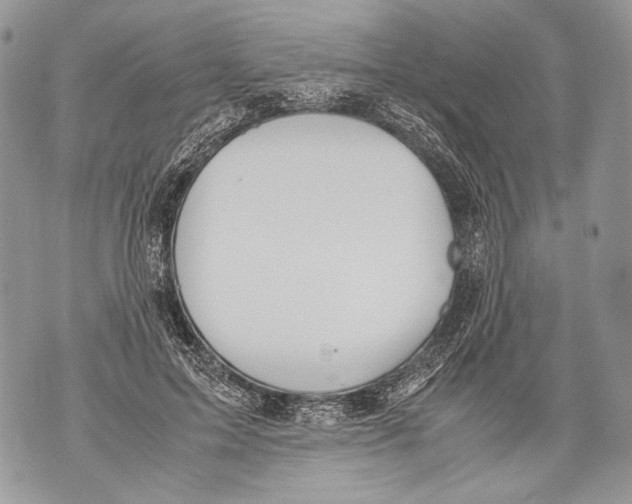 X0000071840599200607290109