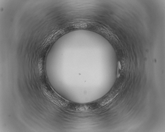 X0000071840600200607290109