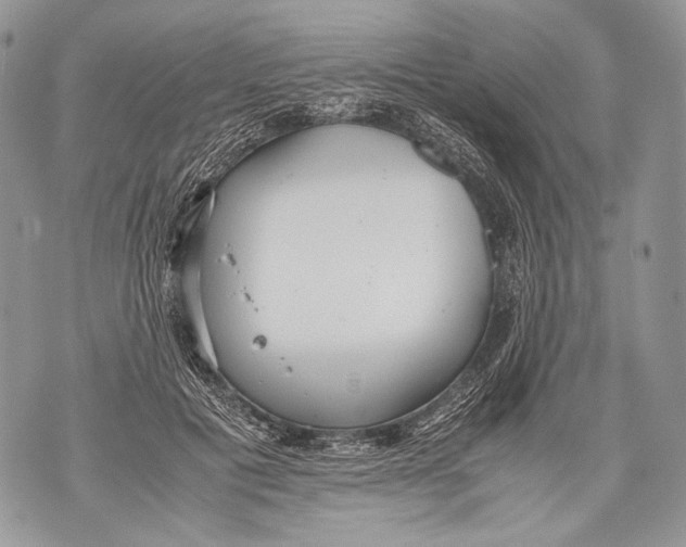 X0000071840601200607290109