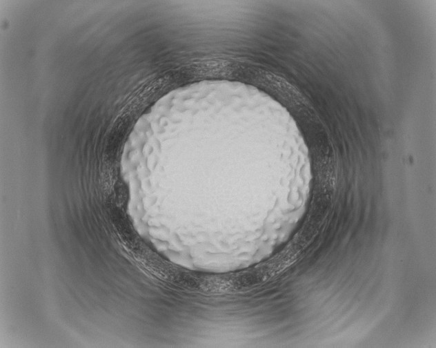 X0000071840602200607290109