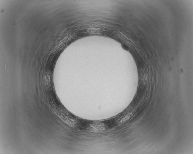 X0000071840603200607290109