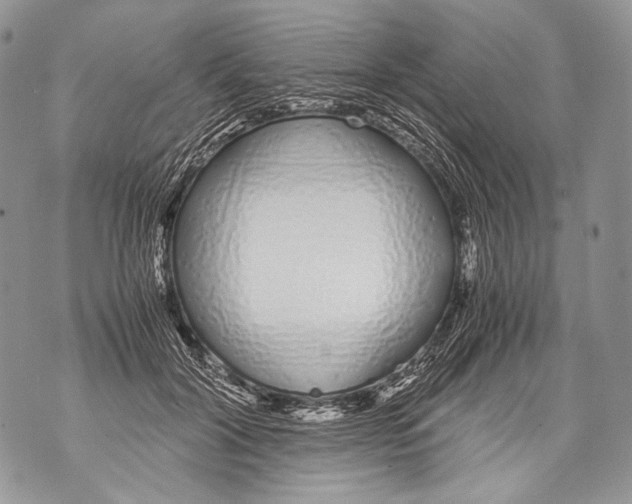 X0000071840604200607290109