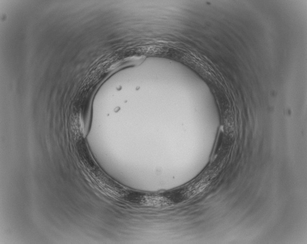 X0000071840605200607290109