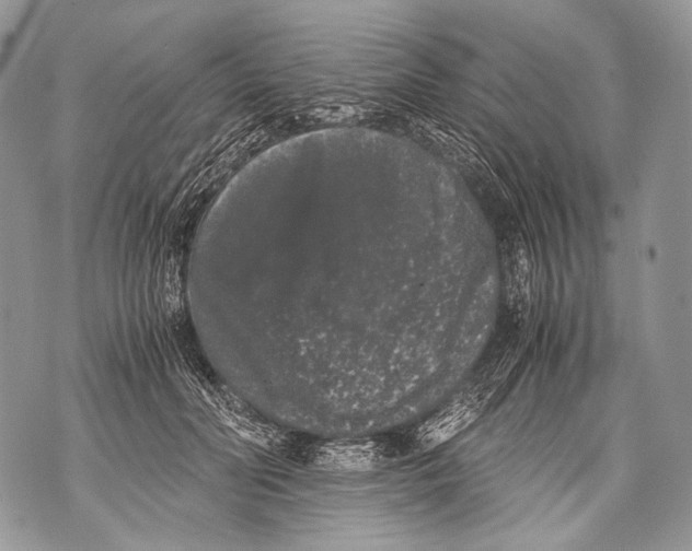 X0000071840606200607290109