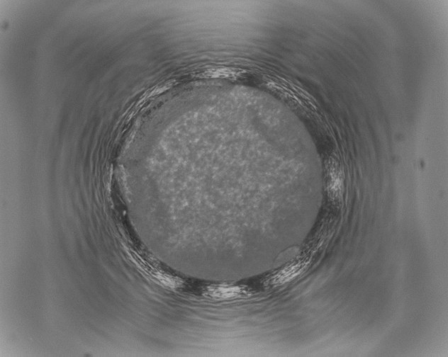 X0000071840607200607290109