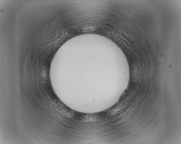 X0000071840608200607290109