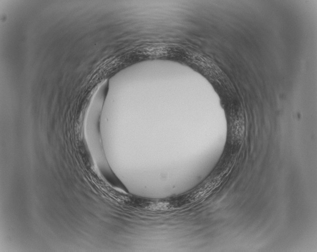 X0000071840609200607290109