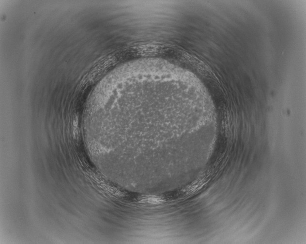 X0000071840610200607290109