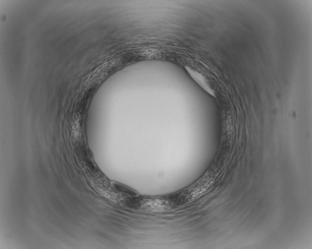 X0000071840611200607290109