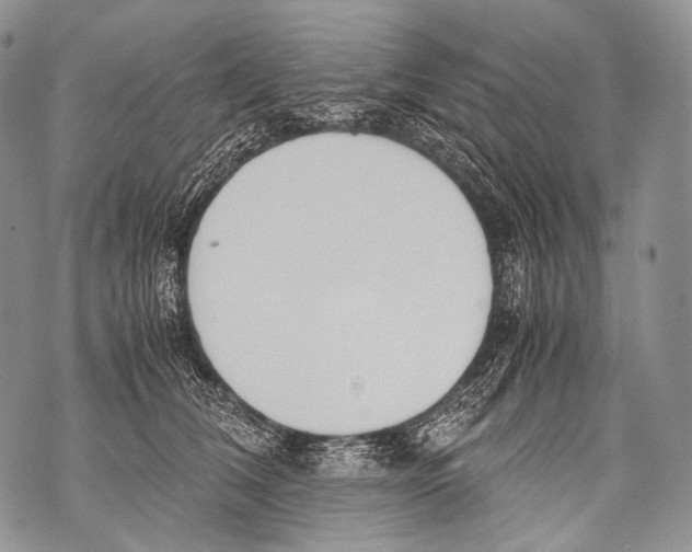 X0000071840612200607290109