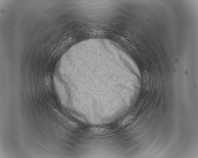 X0000071840614200607290109