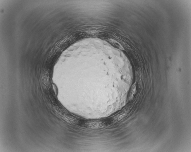 X0000071840615200607290109