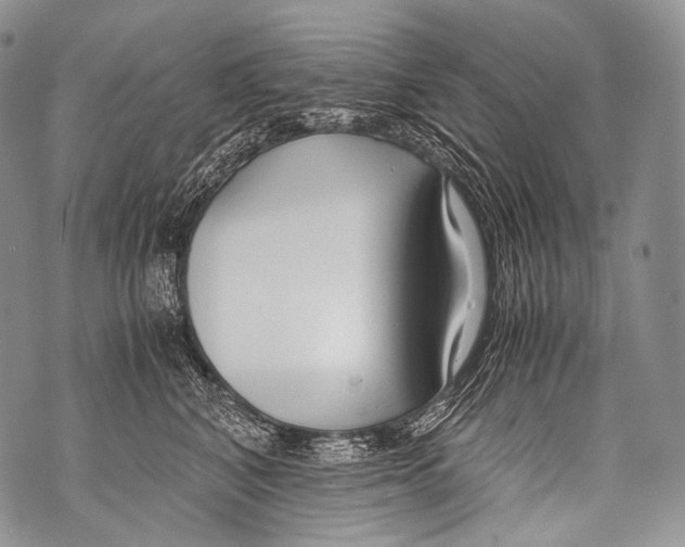 X0000071840616200607290109