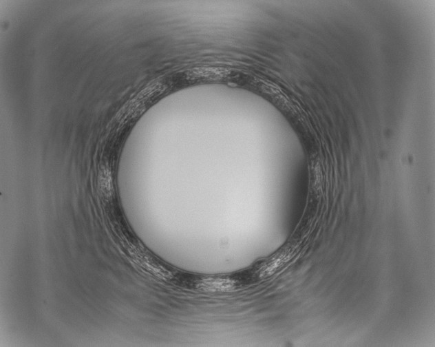 X0000071840617200607290109