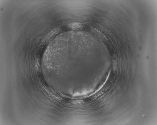 X0000071840618200607290109