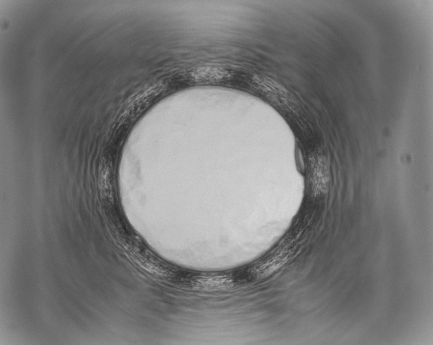 X0000071840619200607290109