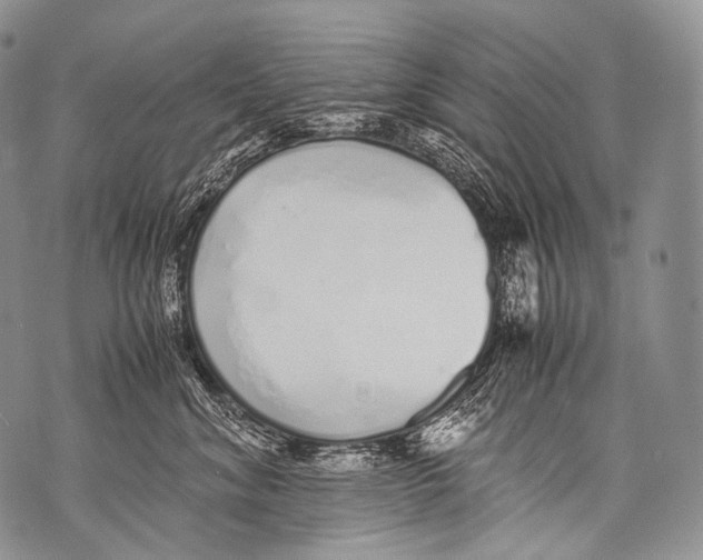 X0000071840620200607290109