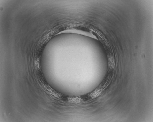 X0000071840621200607290109