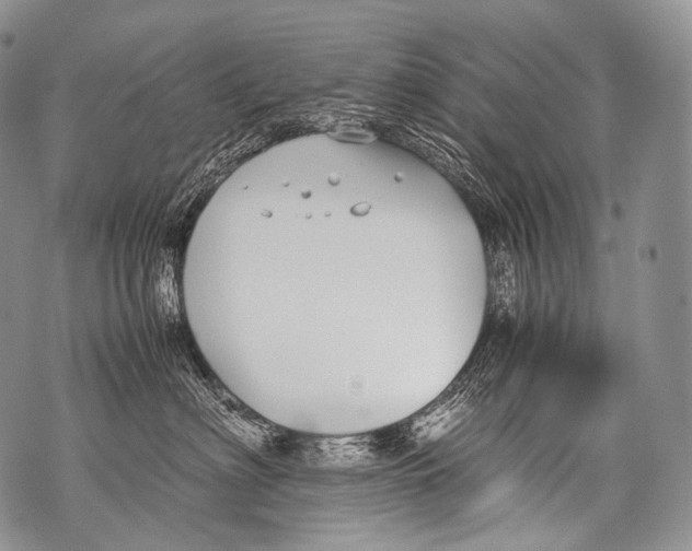 X0000071840622200607290109