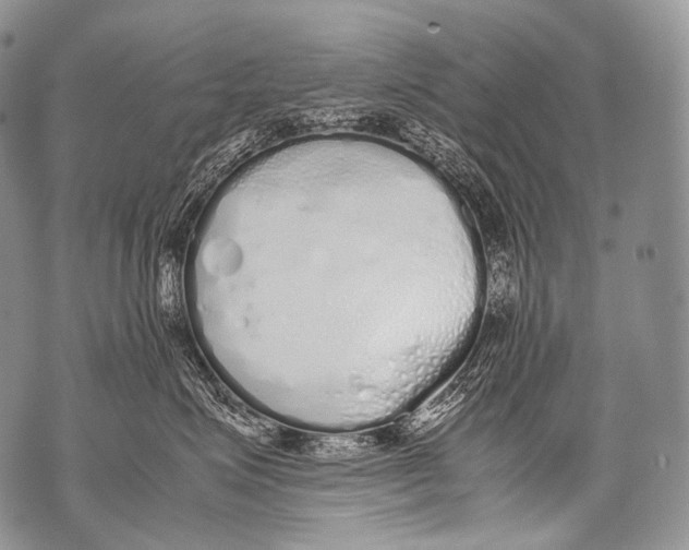 X0000071840623200607290109