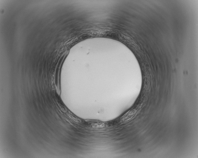 X0000071840624200607290109