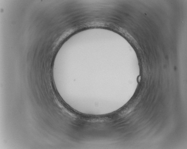 X0000071840625200607290108