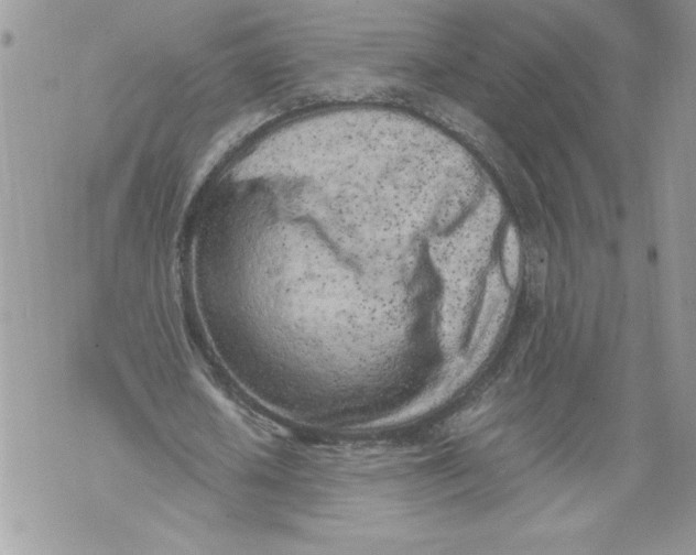 X0000071840626200607290108