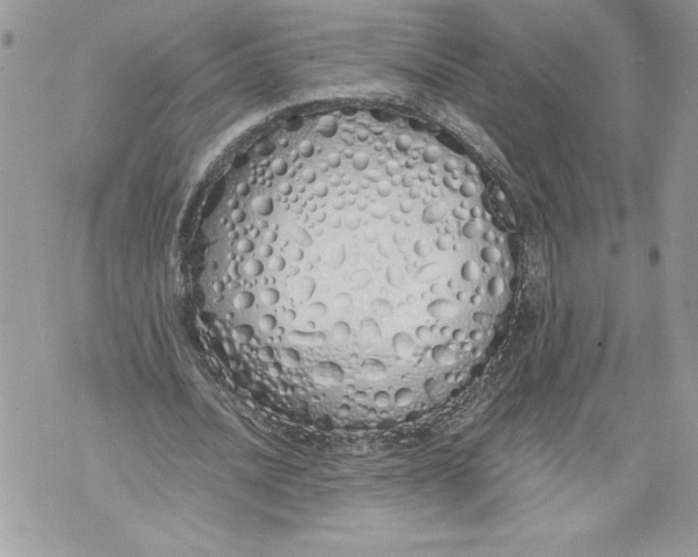 X0000071840628200607290108