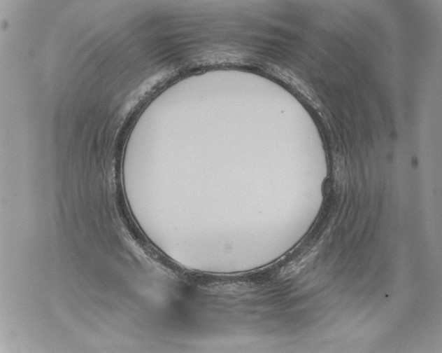 X0000071840629200607290108