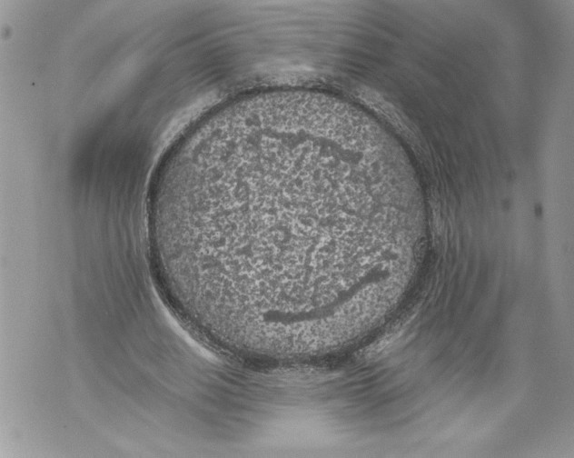 X0000071840630200607290108