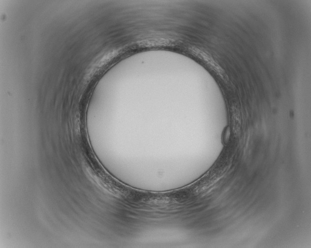 X0000071840631200607290108