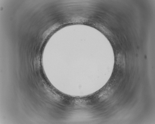 X0000071840632200607290108