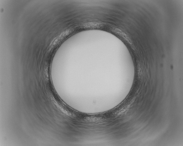 X0000071840633200607290108