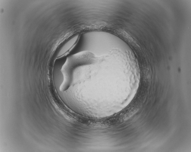 X0000071840634200607290108