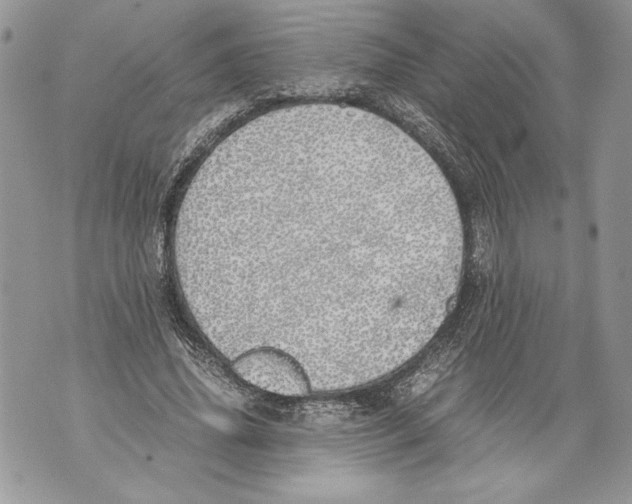 X0000071840636200607290108