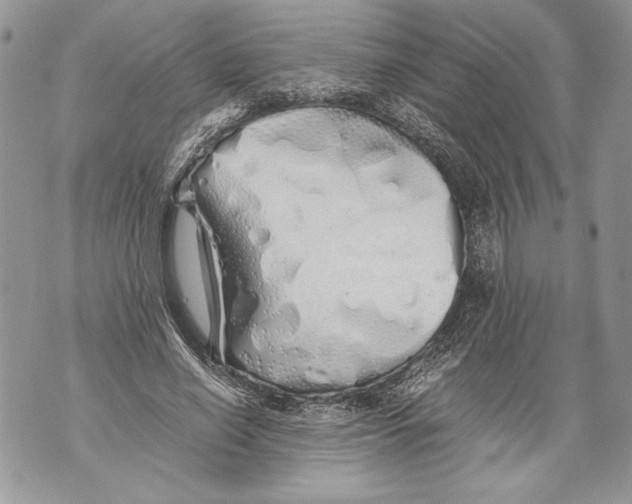 X0000071840638200607290108