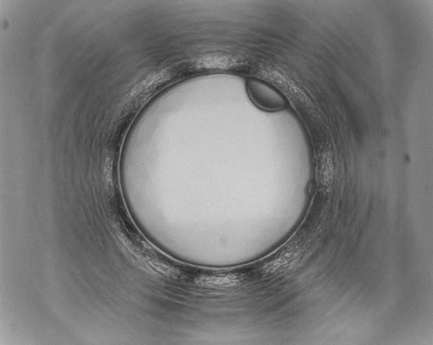 X0000071840639200607290108