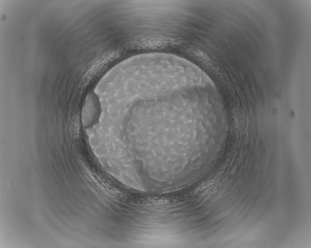 X0000071840640200607290108