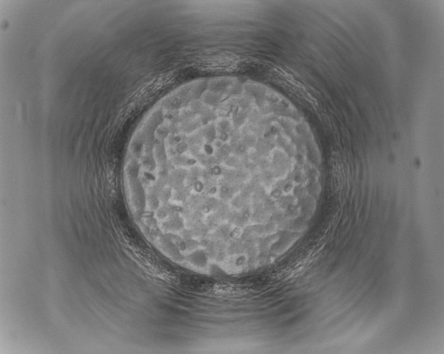 X0000071840641200607290108