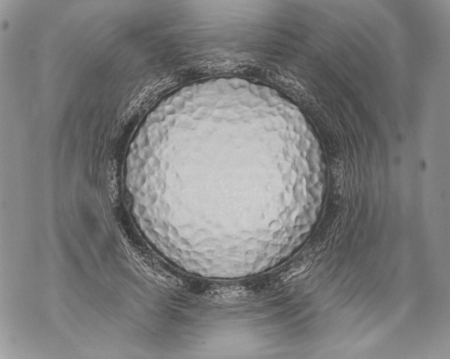 X0000071840642200607290108