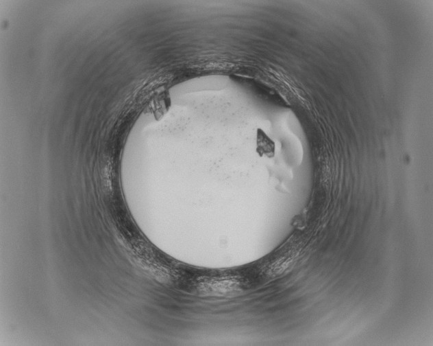 X0000071840643200607290108