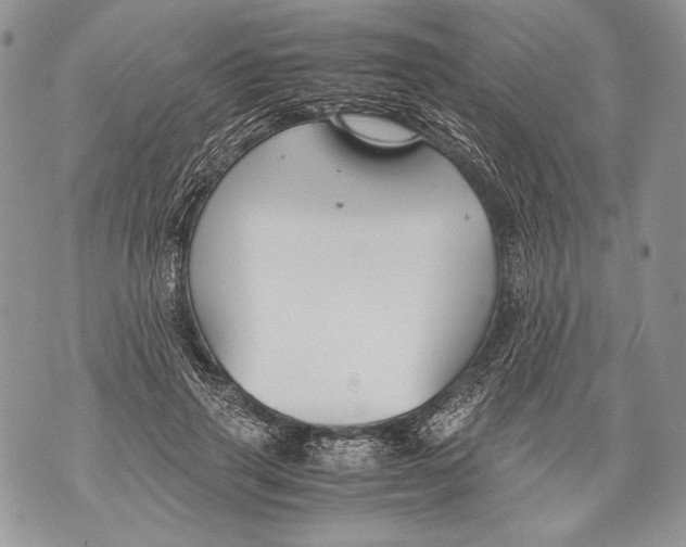 X0000071840645200607290108