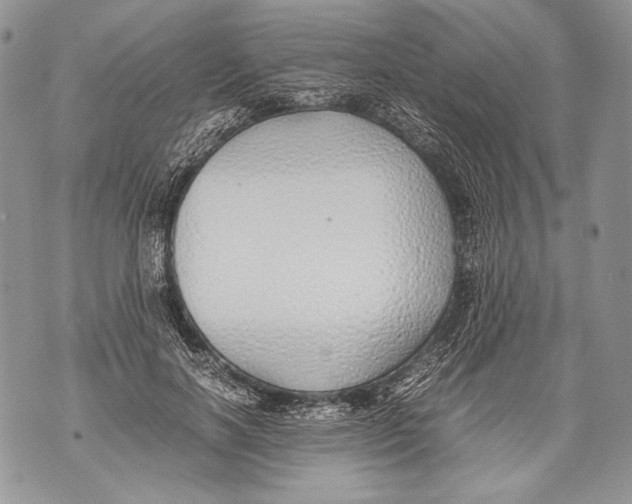 X0000071840646200607290108